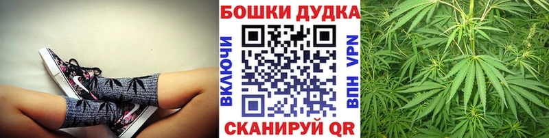 Бошки Шишки Судогда