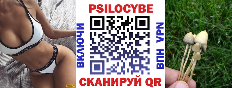 Купить где  Судогда  Галлюциногенные грибы Magic Shrooms 