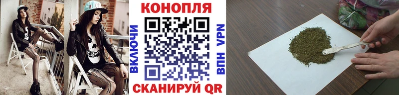 Купить закладки Судогда Каннабис Amnesia